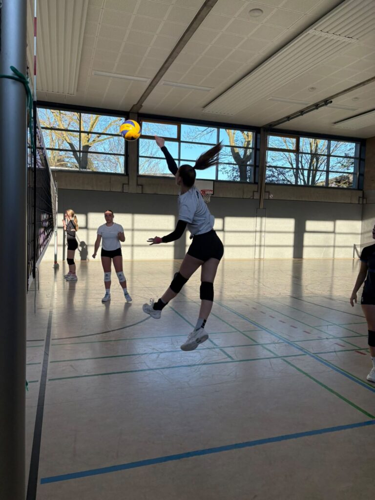 Abteilungsbericht Volleyball — Saison 2025/2026